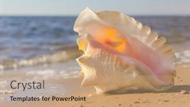  Presentation with treasure - PPT theme having paradise blue beach treasure background and a coral colored foreground