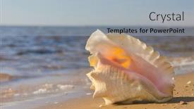  Presentation with treasure - Audience pleasing presentation theme consisting of paradise blue beach treasure backdrop and a light gray colored foreground