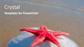  Presentation with divine - Theme having paradise blue seascape divine background and a gray colored foreground