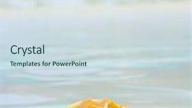  Presentation with paradise - Beautiful slides featuring paradise blue tropical symbol backdrop and a sky blue colored foreground