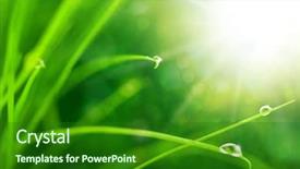  Presentation with nature sun trees - Beautiful presentation design featuring paradise garden - eco nature background with grass backdrop and a forest green colored foreground