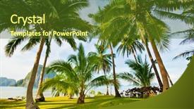  Presentation with beach palm tree wedding - PPT theme having paradise garden - exotic palms beach resort grounds background and a tawny brown colored foreground
