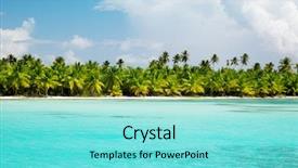  Presentation with caribbean - Slide set featuring paradise garden - palms and caribbean sea background and a  colored foreground