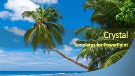  Presentation with plants tissue culture - Audience pleasing slides consisting of paradise garden - plants foliage palms backdrop and a  colored foreground