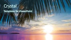  Presentation with palm beach - Presentation having paradise island relaxing getaway - sea palm beach background and a ocean colored foreground