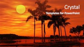  Presentation with tree silhouette - Audience pleasing PPT layouts consisting of paradise sunset on the beach backdrop and a tawny brown colored foreground
