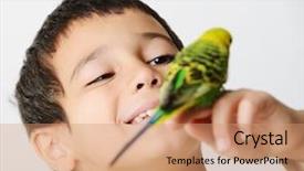  Presentation with parrot - Presentation theme featuring parakeet - portrait of a kid girl background and a coral colored foreground