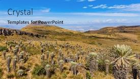  Presentation with colombia - PPT layouts with paramo de oceta and his espeletia frailejones mongui boyaca in colombia south america background and a teal colored foreground