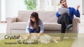  Presentation with allergy - Colorful PPT layouts enhanced with parasitic disease - man having allergy from dog backdrop and a yellow colored foreground