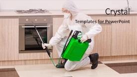  Presentation with pest control - Amazing PPT theme having parasito - professional contractor doing pest control backdrop and a lemonade colored foreground