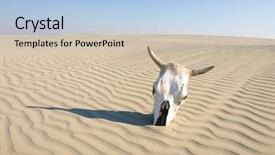  Presentation with skull - Colorful presentation theme enhanced with parched - desert skull africa backdrop and a light blue colored foreground