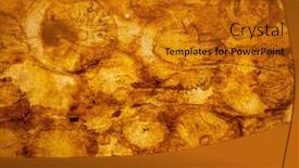  Presentation with parchment paper - Presentation design having parchment-paper-with-mushrooms-spots background and a gold colored foreground