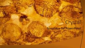  Presentation with parchment paper - Slide deck enhanced with parchment-paper-with-mushrooms-spots background and a gold colored foreground