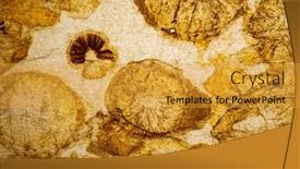  Presentation with parchment - Presentation theme with parchment-texture-with-mushroom-spots background and a gold colored foreground
