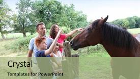  Presentation with children parents - Colorful slides enhanced with parents and children petting horses backdrop and a mint green colored foreground