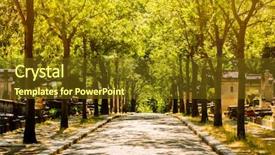  Presentation with fall festival annimated - PPT layouts having pere lachaise cemetery in paris background and a tawny brown colored foreground