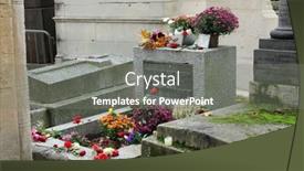  Presentation with pay - PPT theme having paris-november-07-jim-morrison background and a gray colored foreground