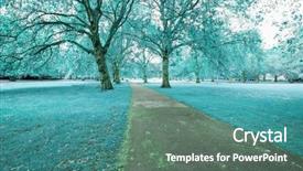  Presentation with four seasons - Presentation theme enhanced with park across the four seasons background and a gray colored foreground