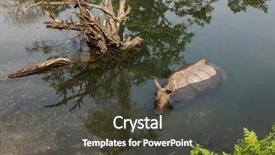  Presentation with national security in india - Colorful slide set enhanced with park assam state north east backdrop and a dark gray colored foreground