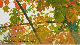  Presentation with fall - PPT layouts with park beautiful background of colorfull background and a gold colored foreground