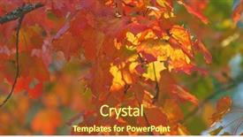  Presentation with fall - Audience pleasing PPT layouts consisting of park beautiful background of colorfull backdrop and a tawny brown colored foreground