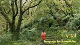  Presentation with climbing stairs - Audience pleasing presentation theme consisting of park climbing stone stairs taipei backdrop and a tawny brown colored foreground