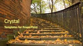  Presentation with yellow brick road - Slides enhanced with park covered by yellow background and a tawny brown colored foreground