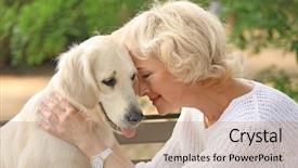  Presentation with dog - Amazing theme having park dogs - senior woman sitting on bench backdrop and a coral colored foreground