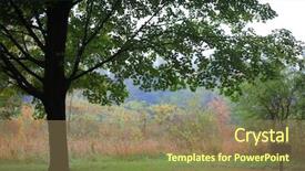  Presentation with picnic - Amazing slides having park during early morning sun backdrop and a coral colored foreground
