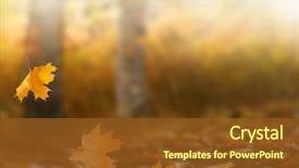  Presentation with falling leaves - Amazing slides having park falling leaves natural background backdrop and a tawny brown colored foreground