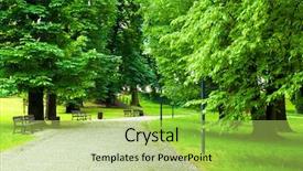  Presentation with spring - Colorful presentation enhanced with park in spring backdrop and a yellow colored foreground