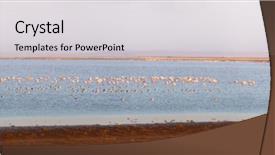  Presentation with arches national park - Beautiful presentation design featuring park kenya with a flock backdrop and a light gray colored foreground