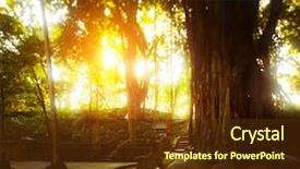  Presentation with monkey - Beautiful slide set featuring park monkey forest in the city of ubud bali indonesia tilt shift lens effect- focus in the center only backdrop and a tawny brown colored foreground