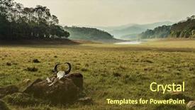  Presentation with wildlife - Cool new PPT layouts with park periyar wildlife sancturary india backdrop and a  colored foreground
