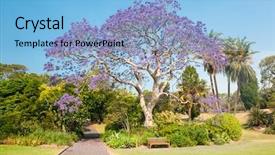  Presentation with sydney - Beautiful slide deck featuring park sydney new south wales backdrop and a light blue colored foreground