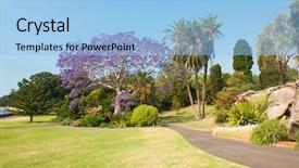  Presentation with sydney - Cool new PPT theme with park sydney new south wales backdrop and a light blue colored foreground