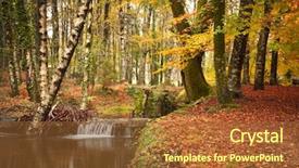  Presentation with beauty beautiful autumn in japanese - Presentation having park with beautiful yellow trees background and a tawny brown colored foreground