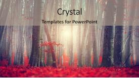  Presentation with dark forest landscape - Theme enhanced with park with colorful bright red background and a coral colored foreground