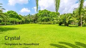  Presentation with palm tree - Cool new slides with park with greenland under palm backdrop and a gold colored foreground