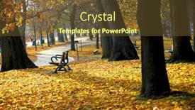  Presentation with recreation - Presentation with park with old trees and recreation trail in the fall background and a tawny brown colored foreground