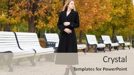  Presentation with multicolored autumn leaves orange yellow red - Amazing slide deck having park yellow and orange leaves backdrop and a  colored foreground