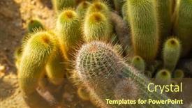  Presentation with golden yellow - PPT theme with parodia-leninghausii-is-a-species background and a tawny brown colored foreground