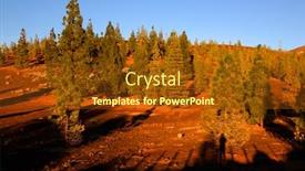  Presentation with corona - Presentation having parque nacional de la corona forestal teide tenerife canary islands spain background and a tawny brown colored foreground