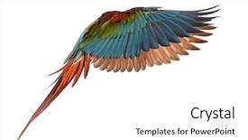  Presentation with wine green - Theme having bowl of delicious homemade guacamole with nachos next to fresh ingredients on black background background and a tawny brown colored foreground.