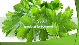  Presentation with white green - Theme having bunch of green coriander background and a tawny brown colored foreground