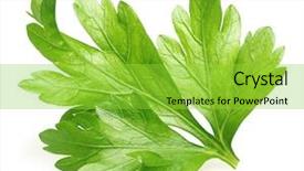  Presentation with herb - Presentation design having parsley-herb-isolated-on-white background and a yellow colored foreground