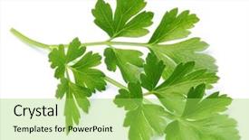  Presentation with food white - Beautiful theme featuring white background organic food backdrop and a yellow colored foreground