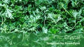  Presentation with garden - Audience pleasing presentation theme consisting of parsley-or-garden-parsley-petroselinum backdrop and a forest green colored foreground