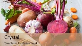  Presentation with root - PPT theme consisting of parsnip - assorted types of root vegetables background and a coral colored foreground