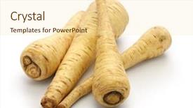  Presentation with history earth globe isolated white - Presentation theme with parsnip isolated on white background background and a cream colored foreground